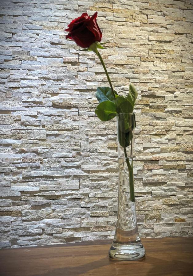 La Rosa Di Vinovo - Open Space Διαμέρισμα Εξωτερικό φωτογραφία